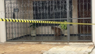 Onça é encontrada em garagem de residência 