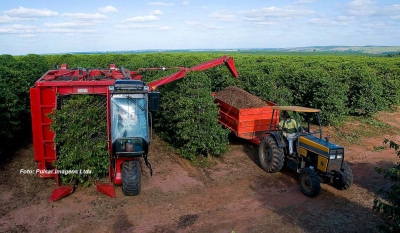 Governo do Estado anuncia APL dos Cafés da Região de Garça