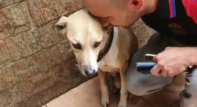 Dono da cachorra Pandora pede indenização de R$ 320 mil à Gol