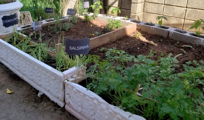 Fundo Social implanta 2ª unidade da Horta Educativa na Emef Antônio Moral