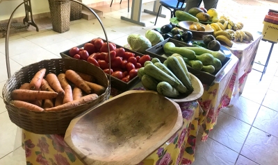 Cultivando orgânicos, professor incentiva a alimentação saudável