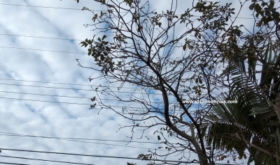 Chuva deve dar "uma trégua" a partir desta terça-feira