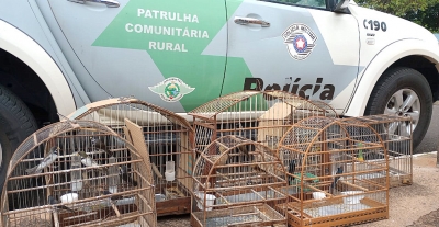 Criador de pássaros é multado em R$ 13 mil pela Polícia Ambiental
