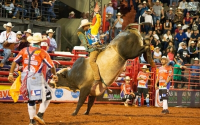 Confirmada Festa do Peão de Barretos totalmente virtual