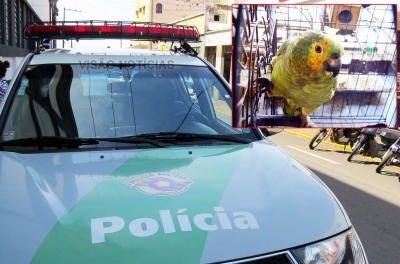 Polícia Ambiental realiza operações na região