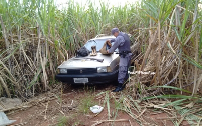 Caçadores são presos após 4 horas de campana