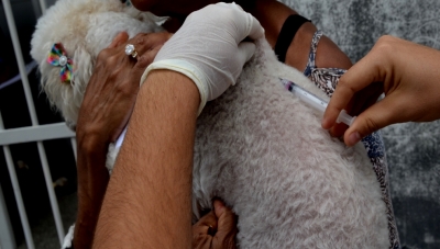 Vacinação antirrábica será realizada neste sábado em Marília