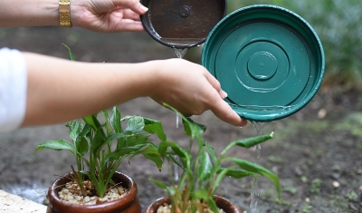 “Pratos de plantas” e embalagens plásticas são os criadouros mais comuns em Marília