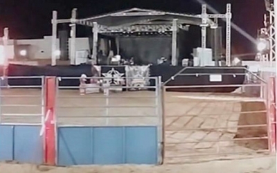 Touro avaliado em R$ 800 mil morre eletrocutado em rodeio