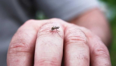 Dengue: Marília registra mais uma morte e 90 novas vítimas em 24h