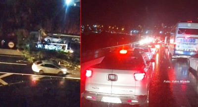 Temporal causa estragos em Marília. Árvore cai em cima de carreta