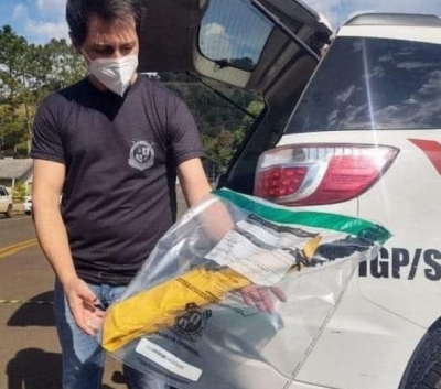 Jovem atacou creche com uma espada ninja, diz Polícia Civil