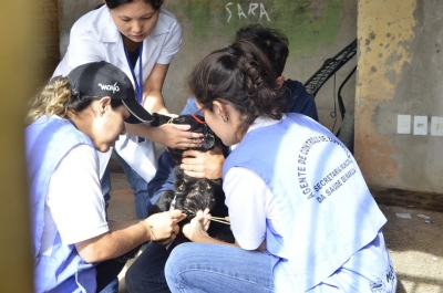 Marília participa da Semana Estadual de Prevenção e Combate à Leishmaniose