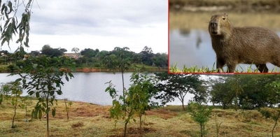 Saúde faz alerta sobre febre maculosa. Represa Cascata em Marília é local de risco