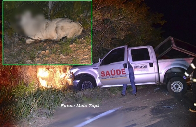 Animal na pista causa grave acidente na região