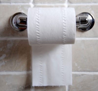 Vereadora é presa por desviar até papel higiênico de instituições sociais