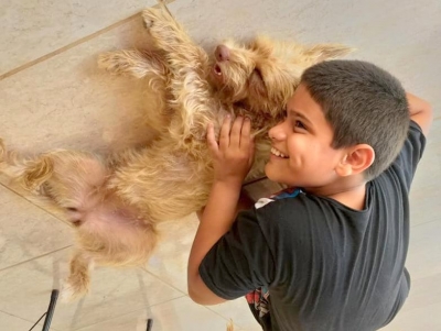 Animais fazem parte da família, sim