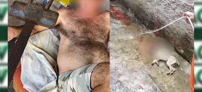 Homem é acusado de violentar e matar filhote de cachorro em Marília