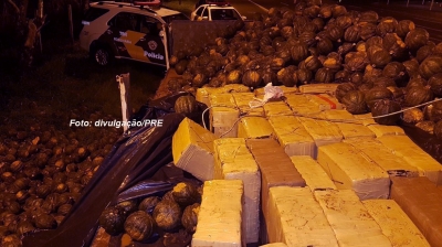 Polícia Rodoviária apreende 1,3 tonelada de maconha e ecstasy na região