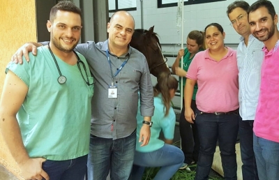 Animais de grande porte resgatados serão tratados no Hospital Veterinário da Unimar