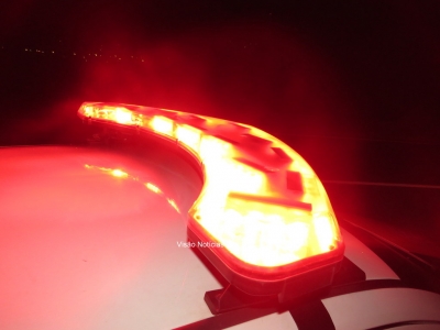 Pedreiro é suspeito de matar gata de estimação e comer a carne do animal