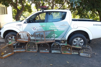 Homem é multado em por manter pássaros nativos em casa