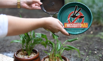 Estado termina o ano com com 442 mil casos de suspeitas de dengue