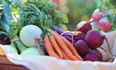 Veja quais são os legumes típicos desta época do ano