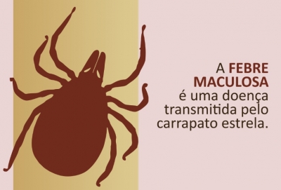 Ribeirão do Sul registra morte por febre maculosa e região fica em alerta