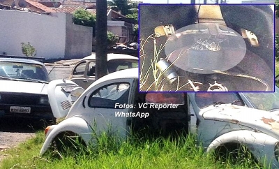 Prefeitura vai recolher carcaças e veículos abandonados em Marília