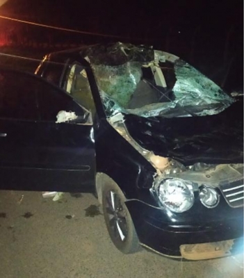 Jovem tenta desviar de cavalo e morre em acidente. Animal também morreu