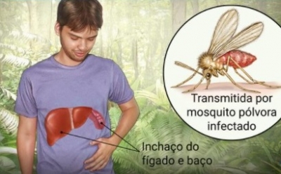 Tupâ já tem três casos de leishmaniose este ano