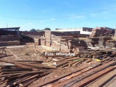 Madeireiras são suspensas por "desorganização"