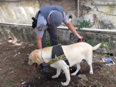 Operação prende mecânico do tráfico 