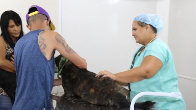 Castração de pets: cadastro na zona Norte de Marília começa hoje