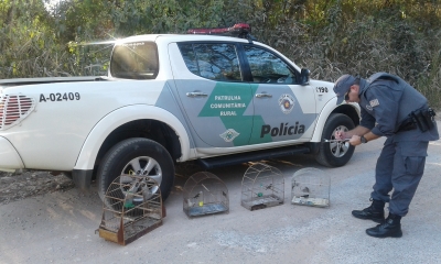 Polícia Ambiental resgata pássaros em Oriente