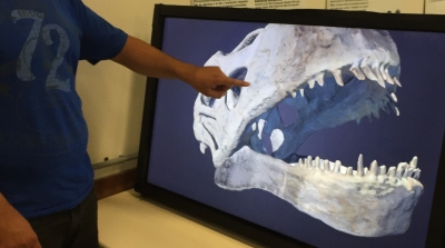 Fósseis do Museu são catalogados em 3D
