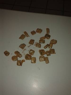 PM apreende drogas na zona norte