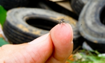 DENGUE: Paraguaçu já tem mais de 250 casos confirmados
