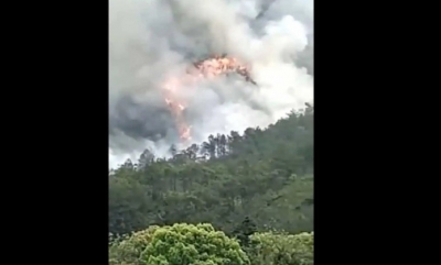 Avião com 132 pessoas a bordo cai na China