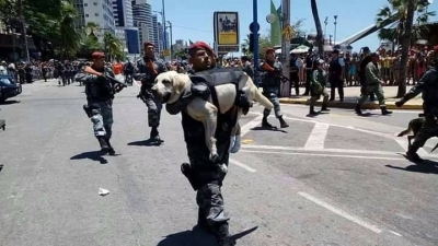 Cão é carregado por policiais durante desfile. Vídeo "bomba" na internet