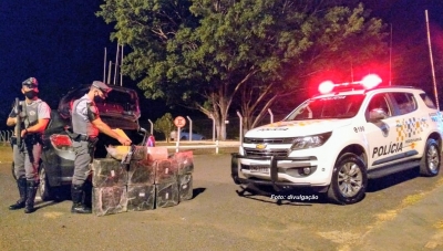 Polícia Rodoviária apreende mais de 200 kg de droga, na região