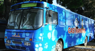 Prefeitura inicia mutirão para castração de animais em Marília