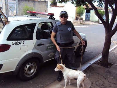 Polícia resgata cão maltratado em Marília