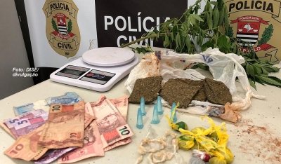 DISE apreende muita droga e até pé de maconha no bairro Maracá