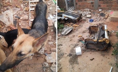 Polícia resgata cães na zona sul de Marília