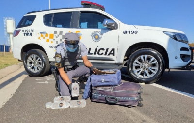 TOR flagra adolescente com skunk em fundo falso de mala na SP-333