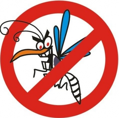 Life na campanha contra a dengue