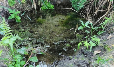 Prefeitura de Marília recupera mais  duas nascentes na zona norte