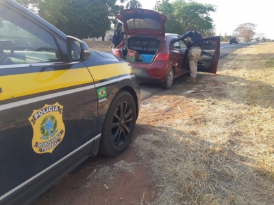 PRF apreende pássaros silvestres na BR 153, dois homens foram presos